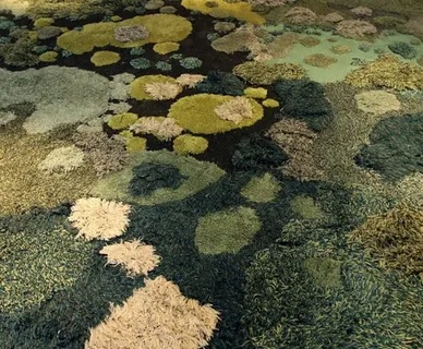 How To Remove Green Mold From Outdoor Carpet?