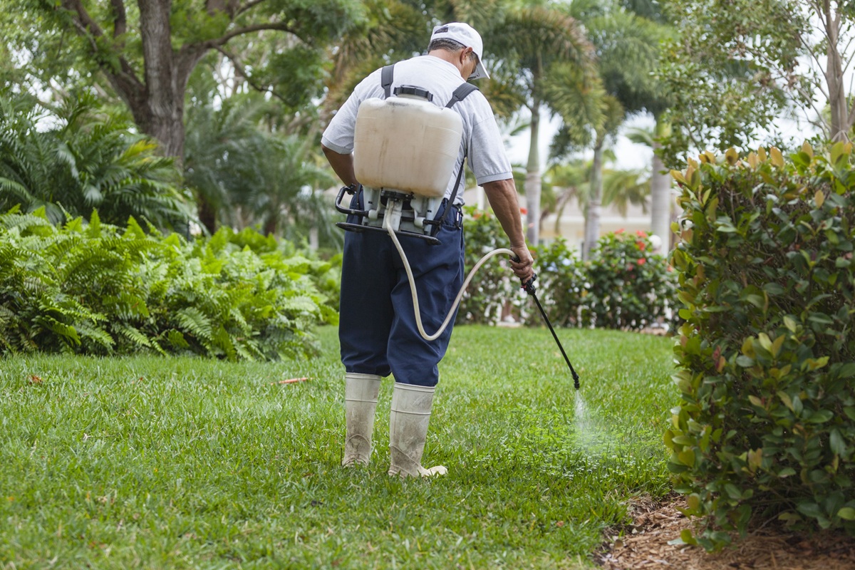 How To Remove Smoke Odor From Yard?