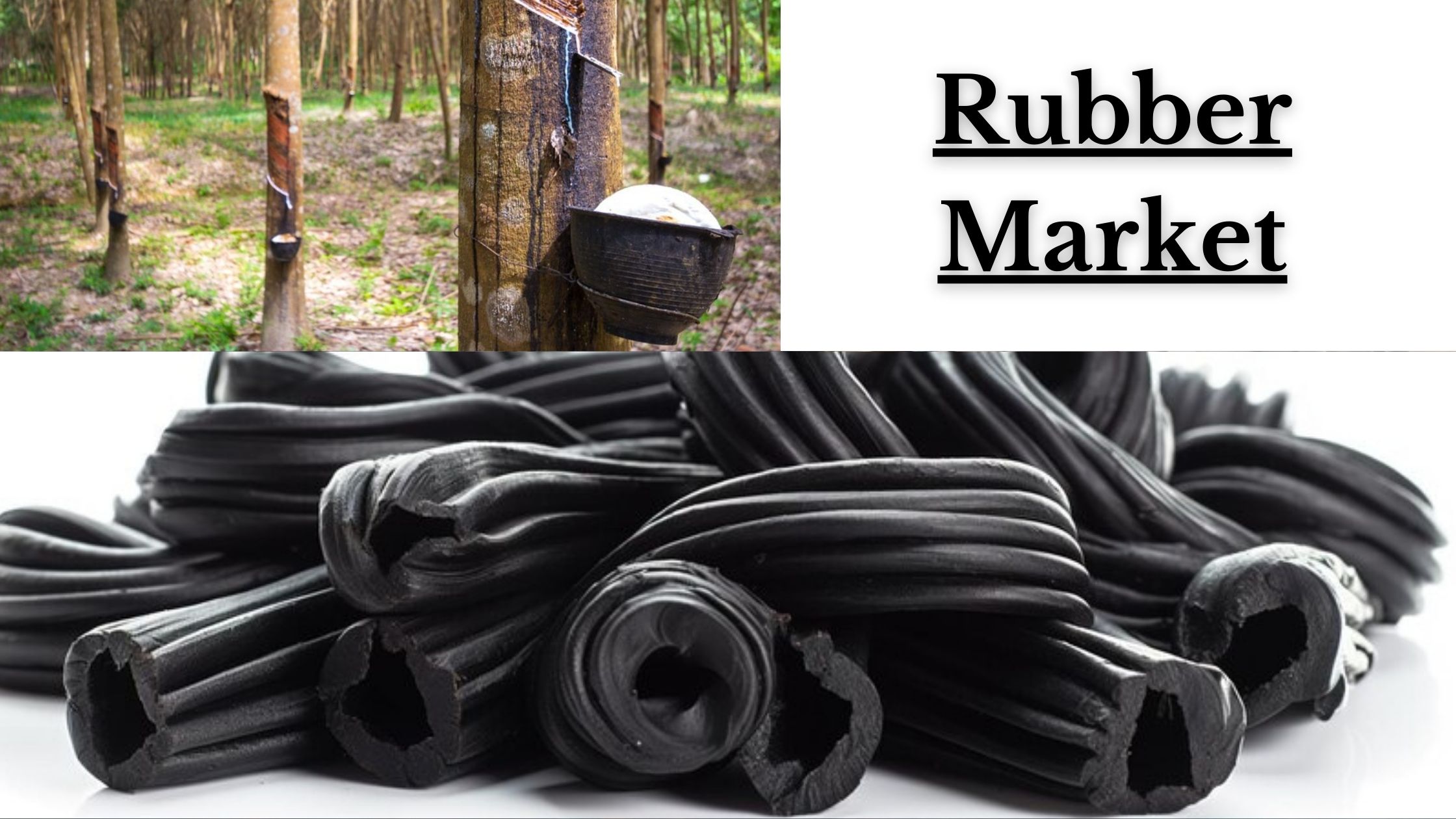 Rubber Market Share, Market Expansion Industry Analysis 2032