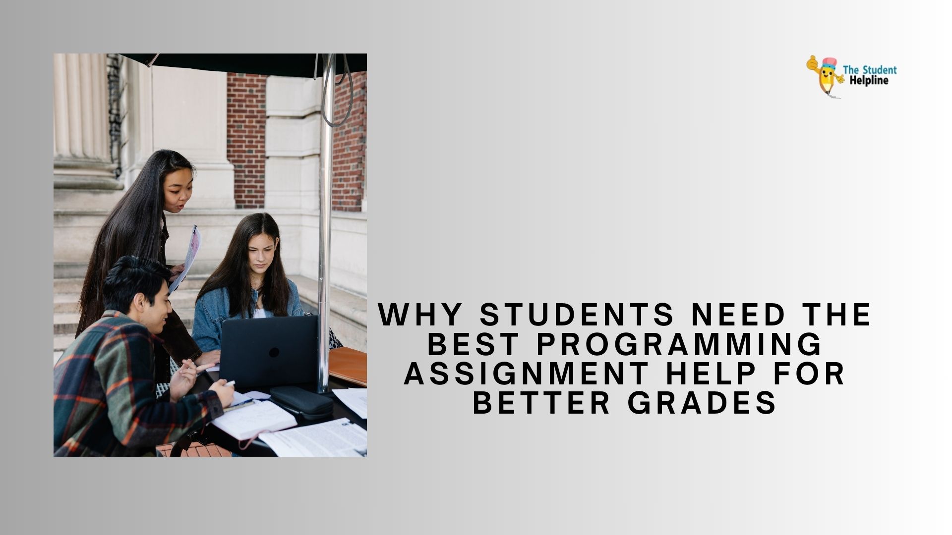 Why Students Need the Best Programming Assignment Help for T