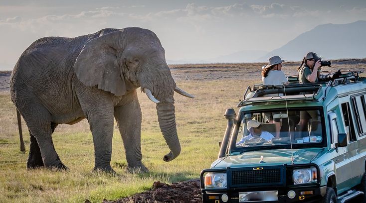 Unforgettable Best Adventure Trips Uganda for Nature Lovers