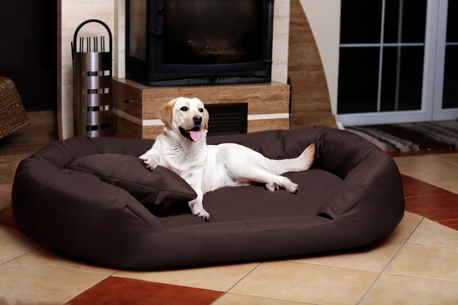 How to Choose the Perfect Outdoor Dog Bed for Your Pup