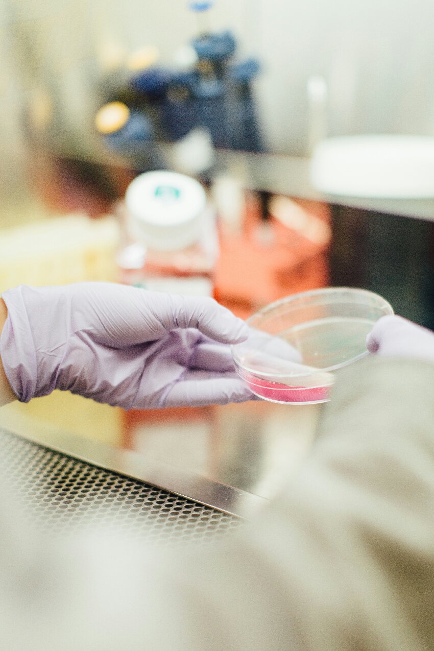 Glycosylation Inhibitor Development: A Promising Avenue for