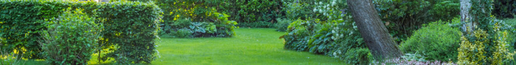 Garden Maintenance Kensington Affordable and Reliable Garden Maintenance Services in Kensington