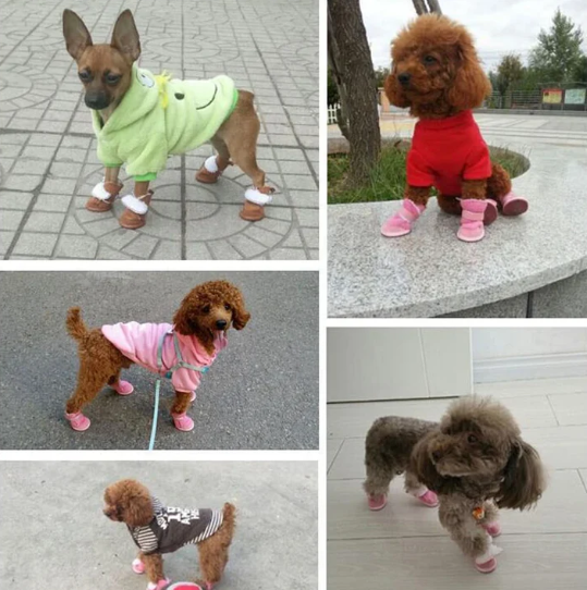 Tread with Confidence: The Top Benefits of Using Anti-Slip Dog Boots