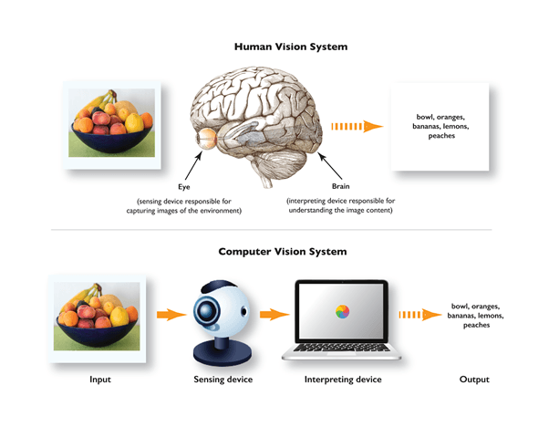 AI in Computer Vision Market Growth Drivers and Restraints: