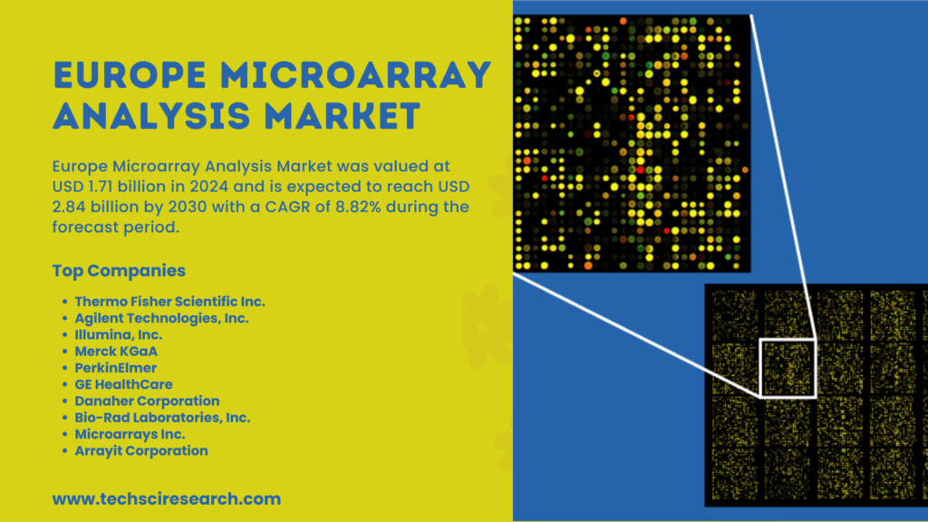 Europe Microarray Analysis Market: Trends, Insights 2030