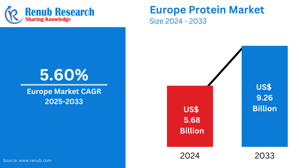 Europe Protein Market: Forecast 2025–2033: Trends, Segmentat