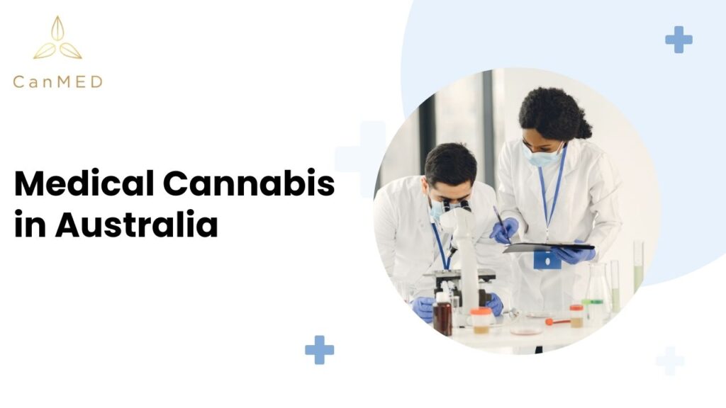 Exploring the Past, Present, & Future of Cannabis Therapies