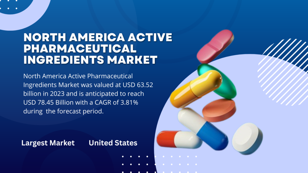 How the North America Active Pharmaceutical Ingredients Mark