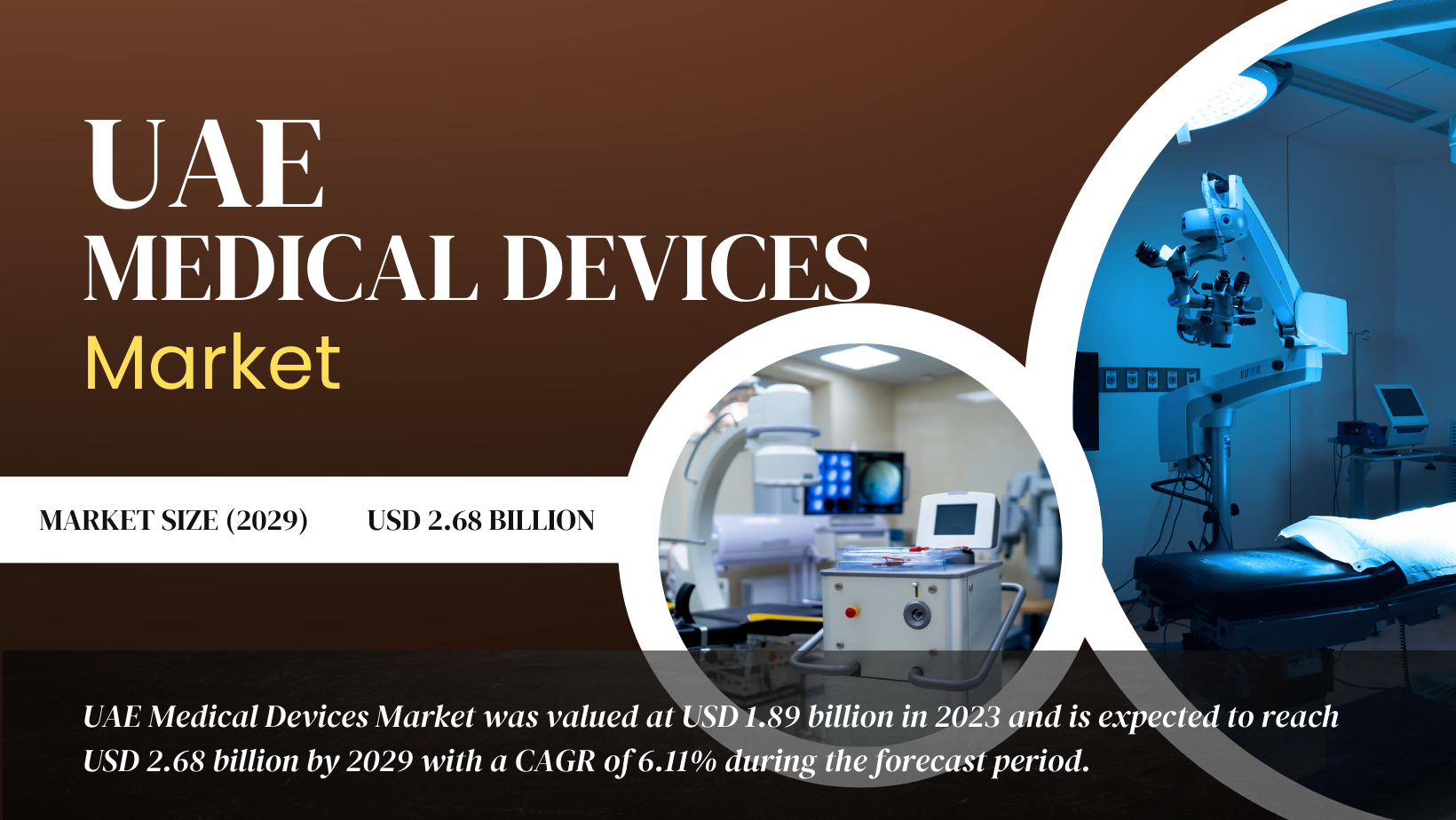 UAE Medical Devices Market Outlook 2030: Challenges