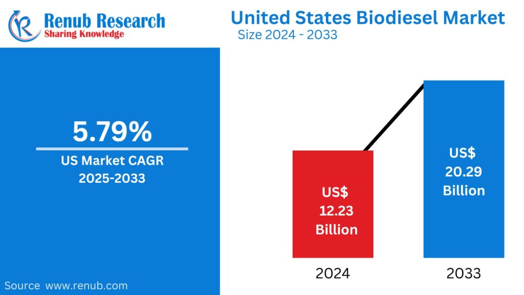 United States Biodiesel Market Forecast 2025–2033: Trends, S