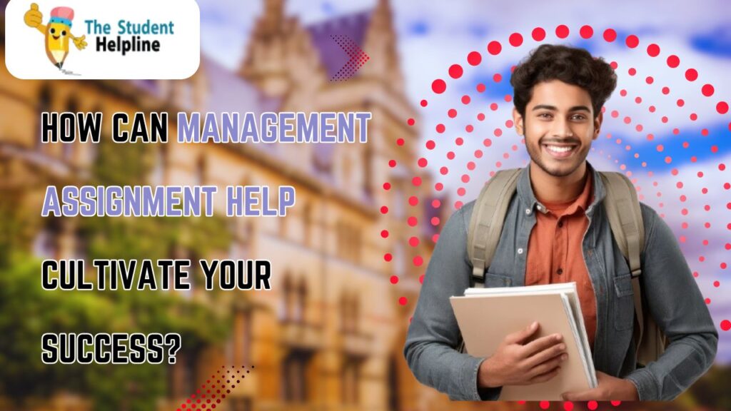 How Can Management Assignment Help Cultivate Your Success?