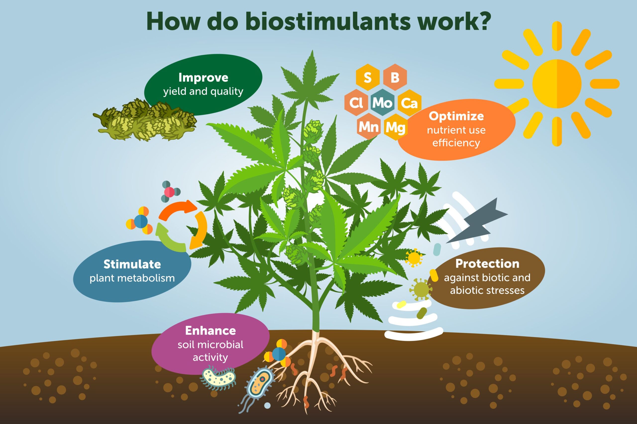 Biostimulants Market Growth: Challenges & Technological