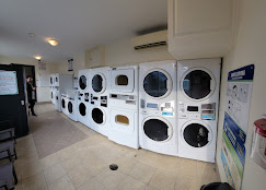 Why Professional Laundry and Cleaning Services Are Important