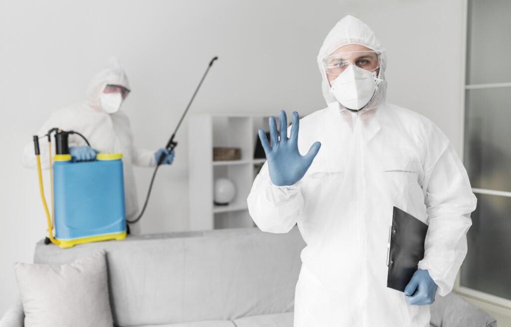 How to Choose the Right Termite Inspection Service for Long-Term Protection