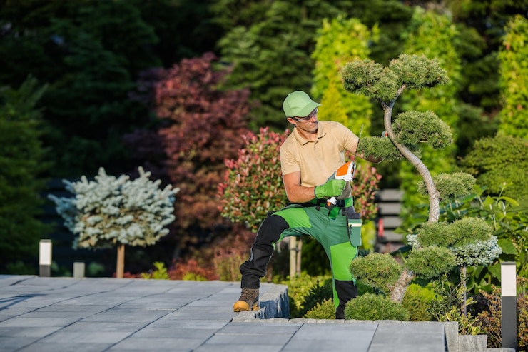 How Storytelling Can Transform Landscaping Paving Projects —