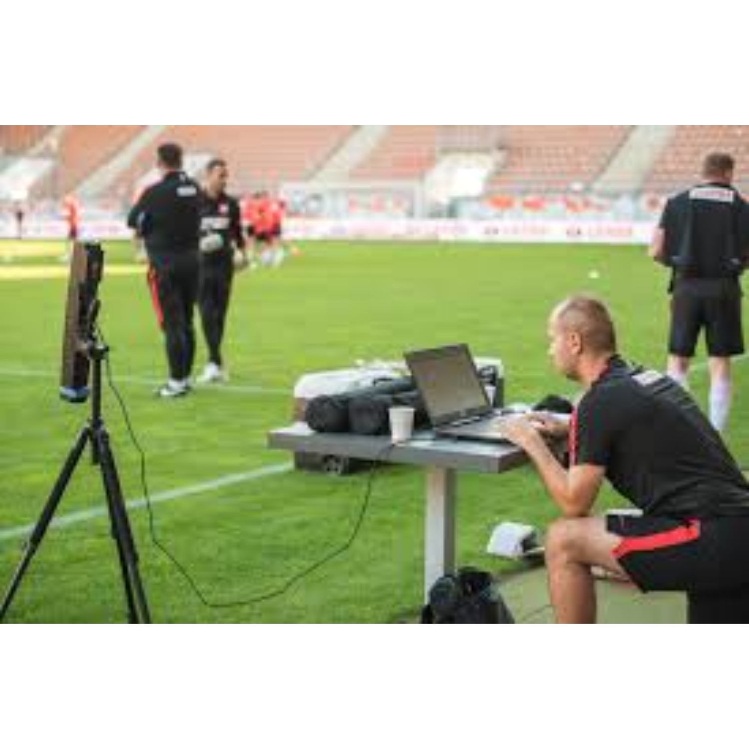 Why Every Sports Fan Should Understand Basic Sports Analysis