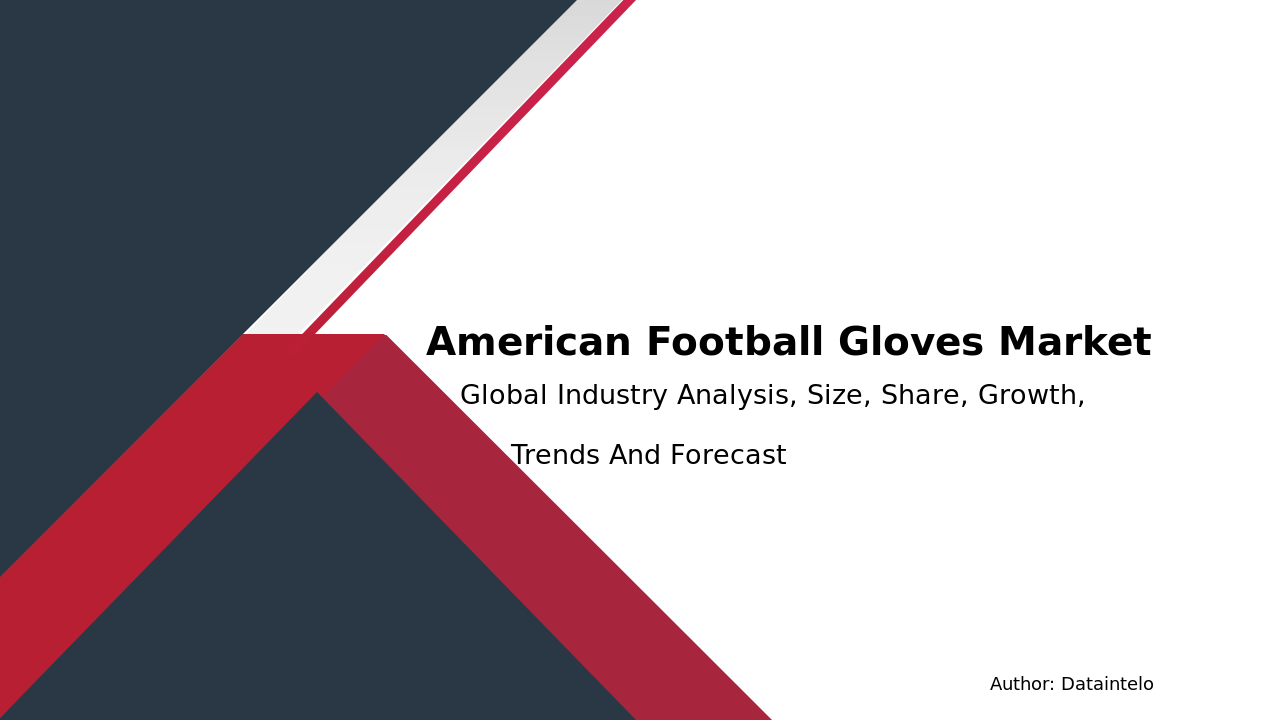 2032 Market Insights: American Football Gloves Industry