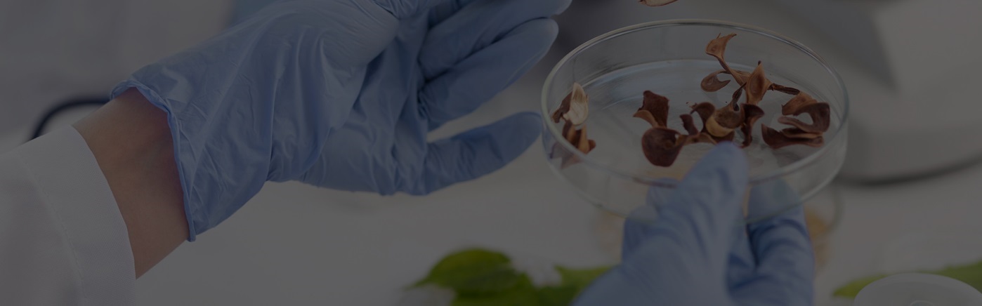 All You Need to Know About Pursuing B.Sc. Forensic Science