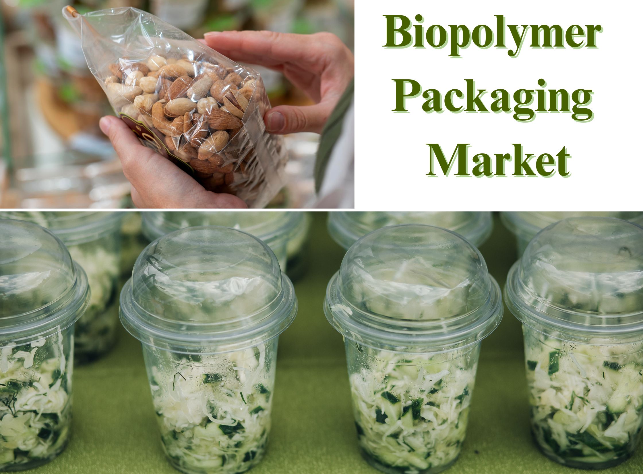 Biopolymer Packaging Market Share and Size, Forecast, 2032