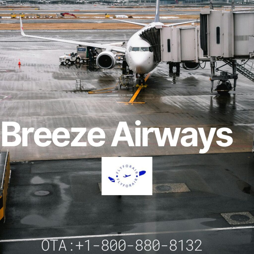 How do I speak to someone at Breeze?