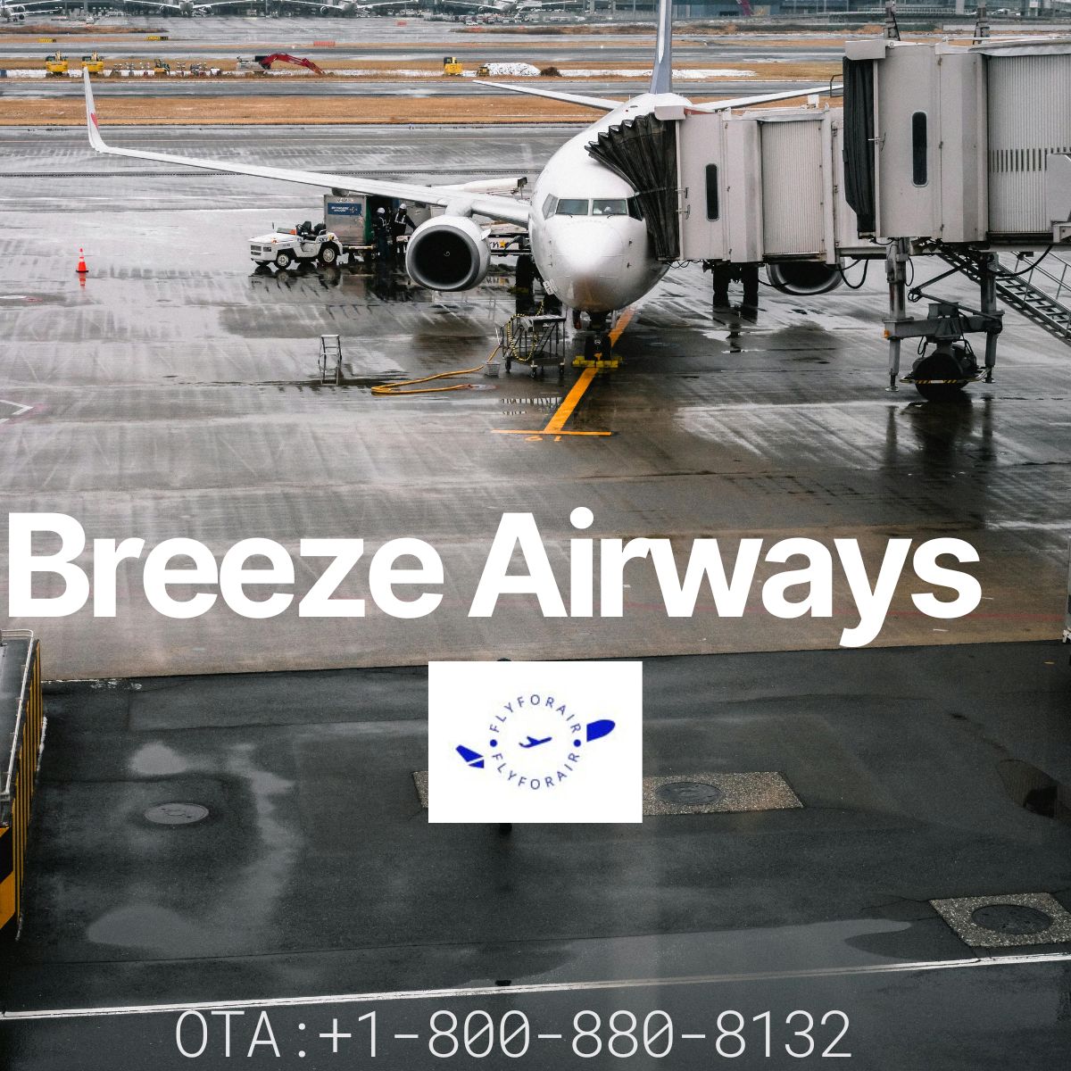 How do I speak to someone at Breeze?
