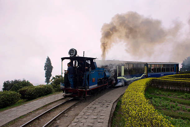 Darjeeling Tour Packages Under 10000 for Short & Extended Ho