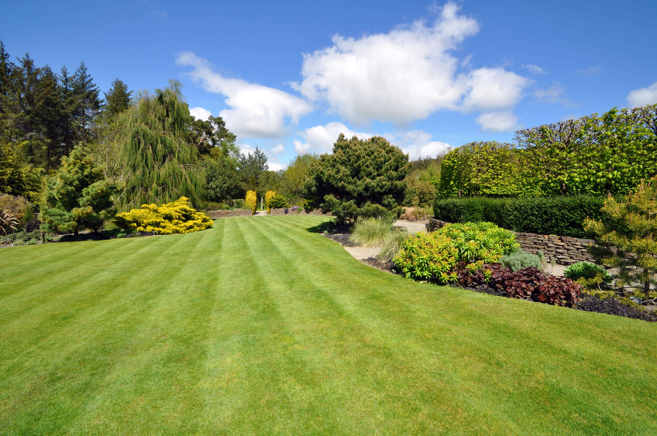 Expert Landscaping Services in Farnborough for Beautiful and Functional Gardens