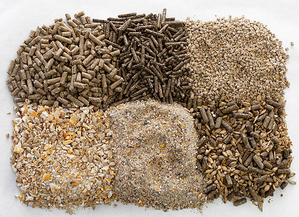 The Role of Feed Premixes in Enhancing Animal Productivity