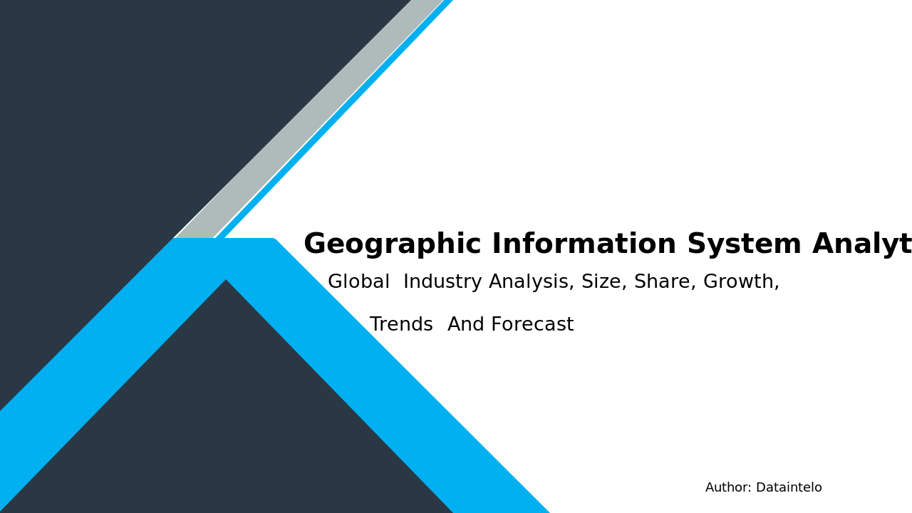 GIS Market Size Analysis and Forecast to 2032