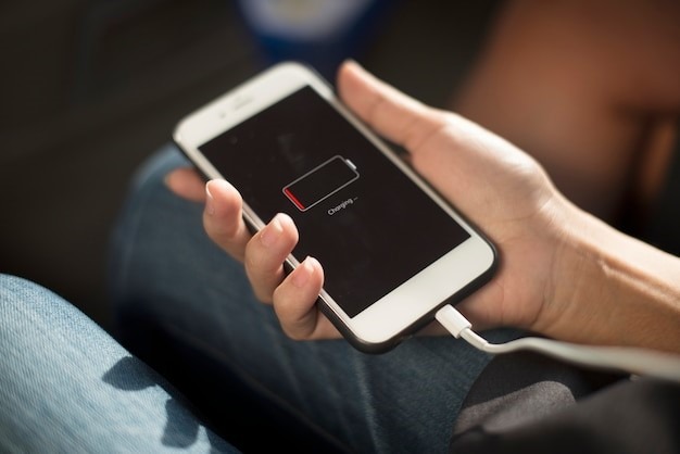 Mobile Phone Charger Manufacturing Plant Report 2025