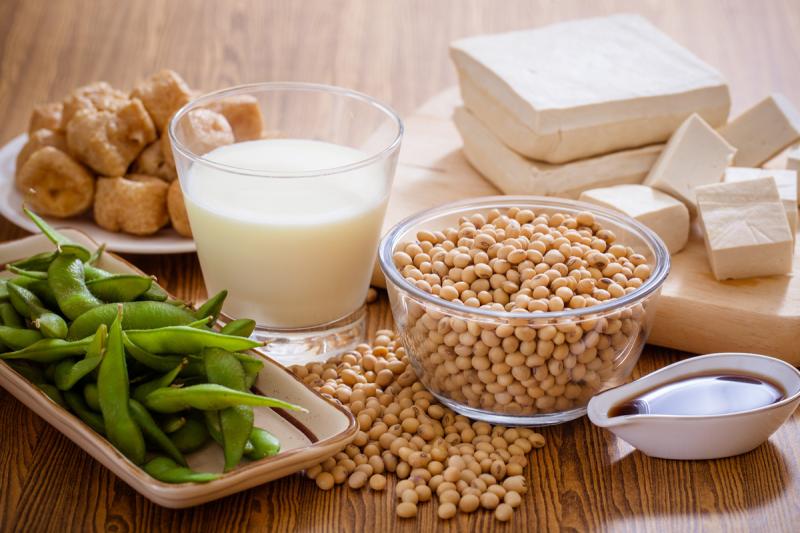 Soy Protein Ingredients Market Segmentation