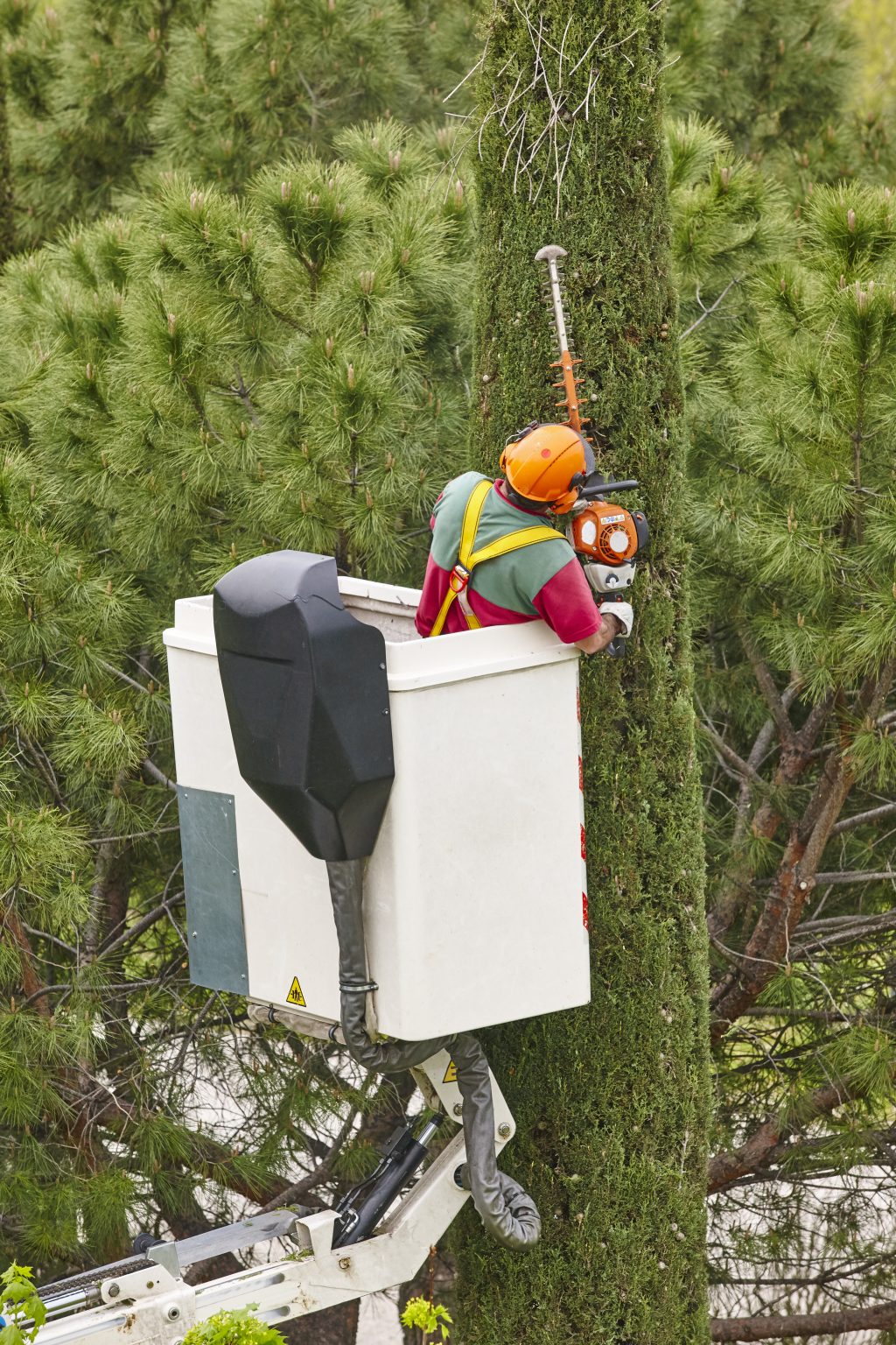 Pruning, and Removal Are Essential for Property Safety