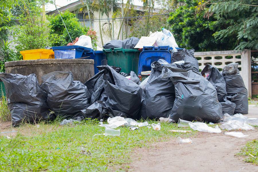 Top 5 Mistakes People Make When Booking a Waste Clearance Team