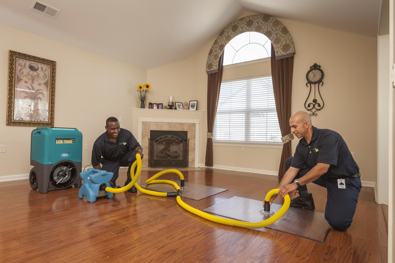 How Professional Water Damage Repair Can Save Your Property?