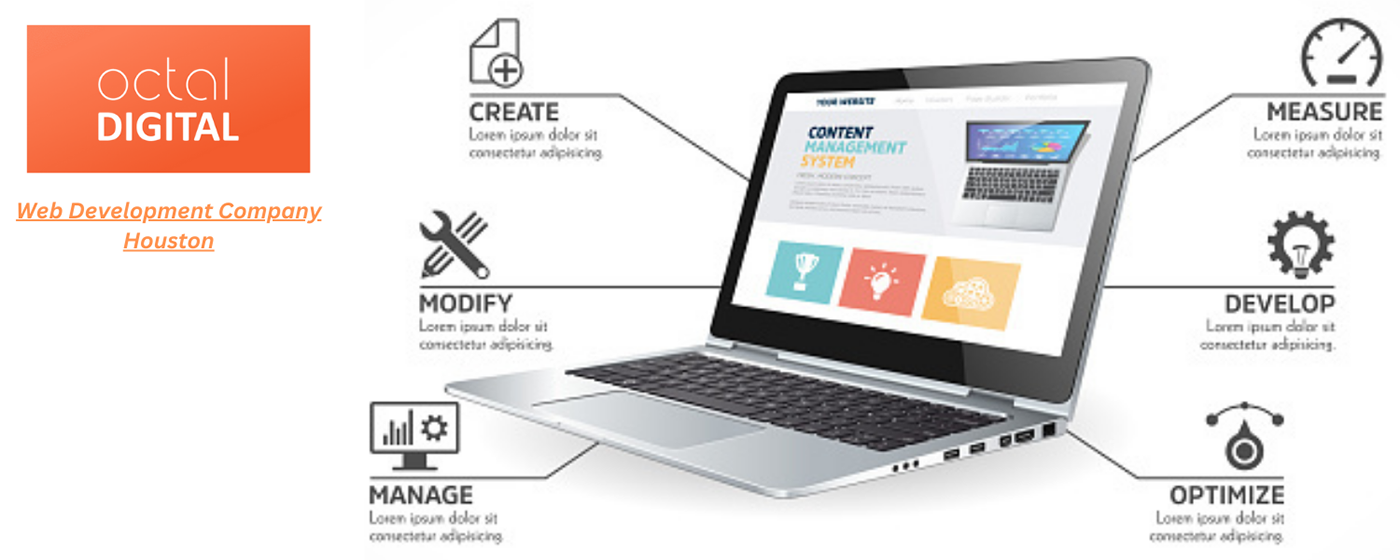 Maximize Your Profit with the Best Houston Website Design
