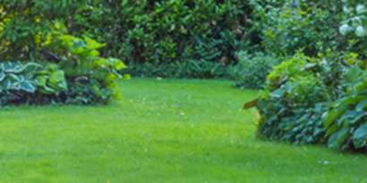 Expert Garden Maintenance Kingsford – Affordable Solutions for a Perfectly Kept Garden
