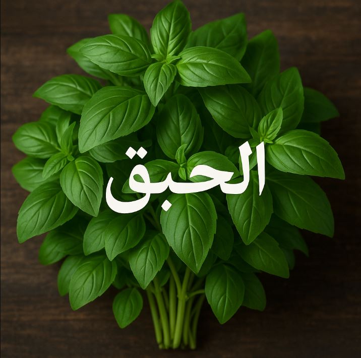 الحبق: نبتة عطرية بفوائد صحية مذهلة