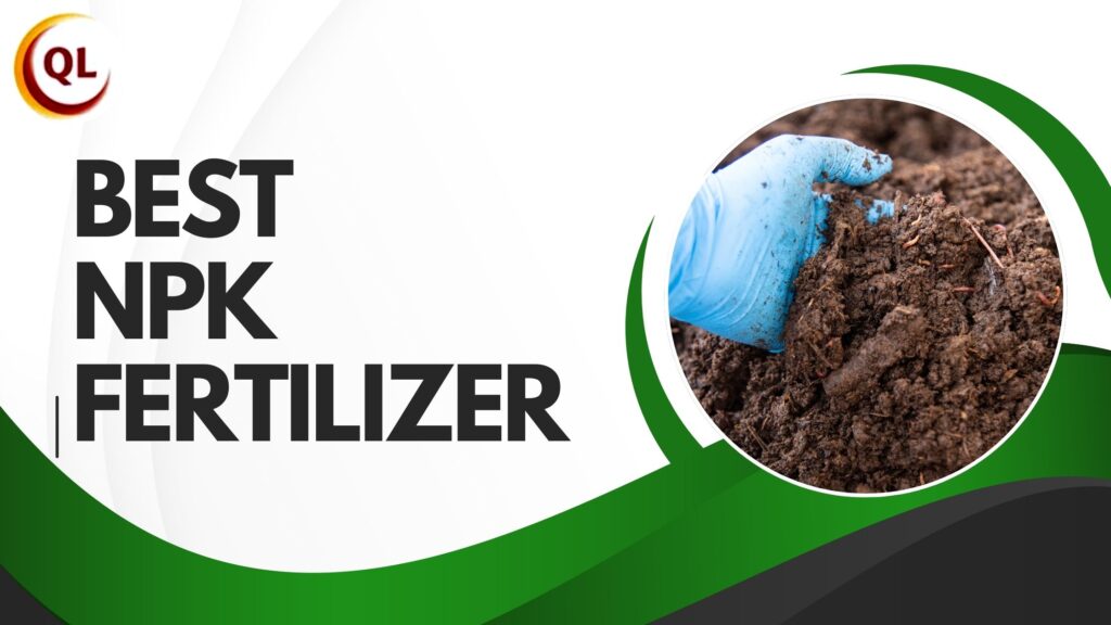 Best NPK Fertilizer with Organic Benefits