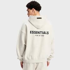 Essential Hoodie landscape of fashion shop