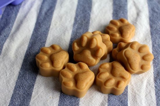 The Benefits of Healthy Soft Dog Treats from Local Pet Suppl