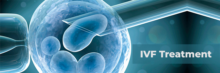 Microscopes & Miracles: Cracking the Code