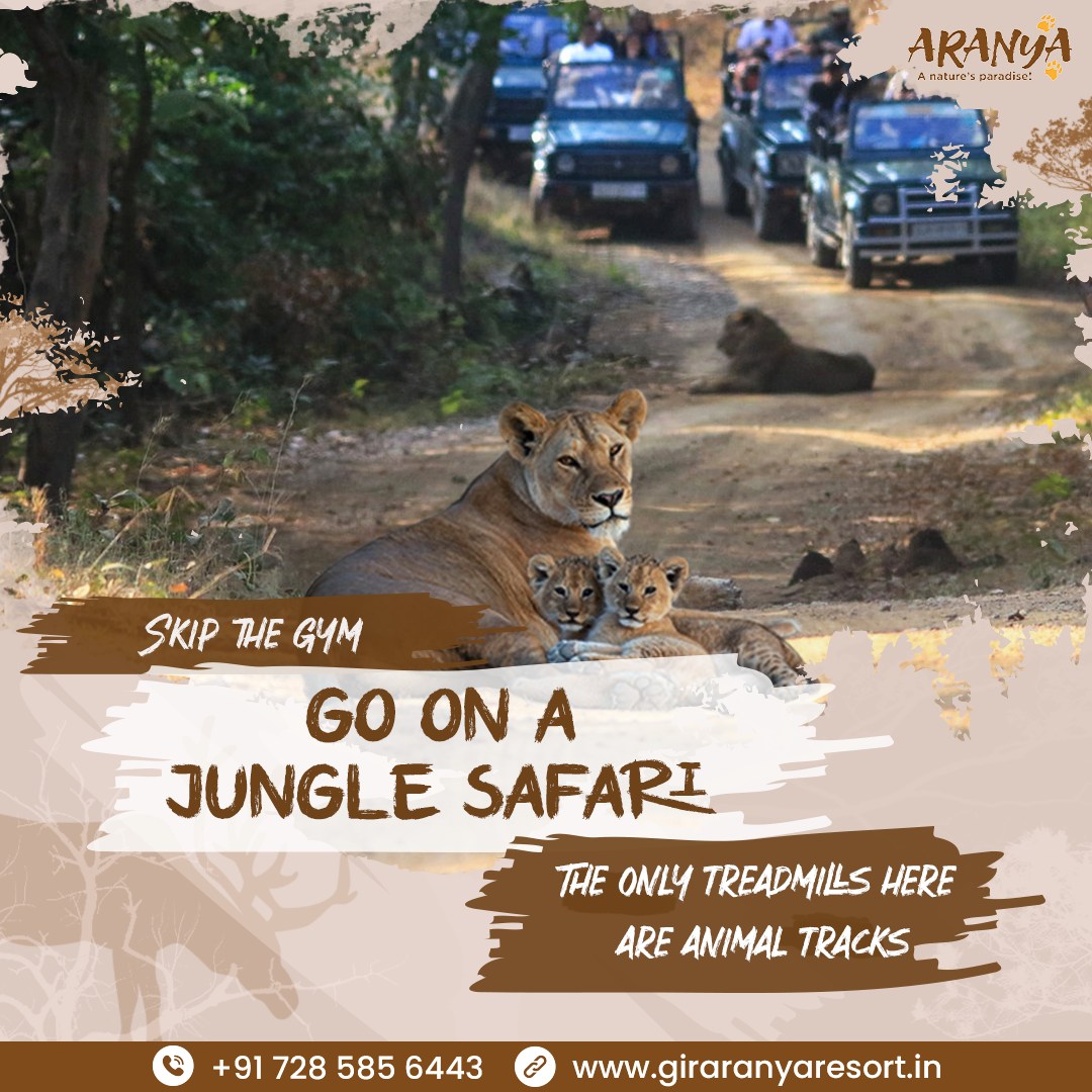 How to Stay Safe During Your Sasan Gir Jungle Safari