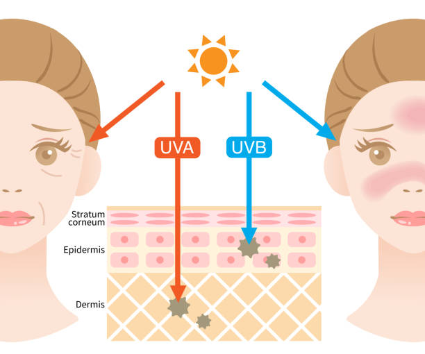 The Benefits of UV B in body from Sunlight