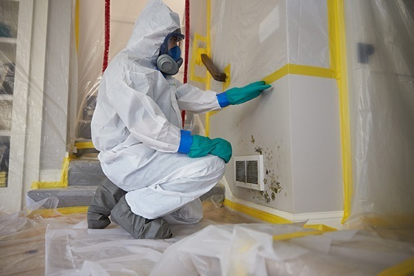 How Mold Damage Restoration Can Save Your Property