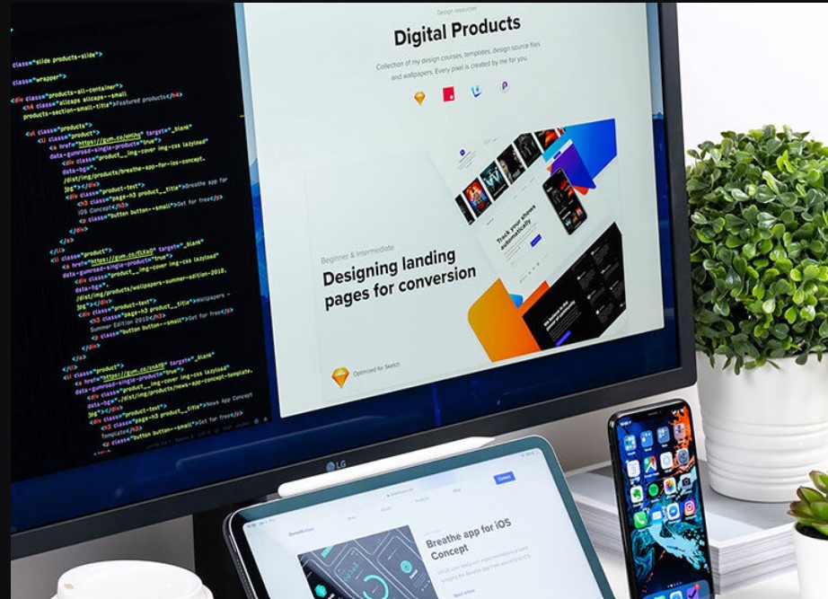 SEO for Lasting Brand Stability